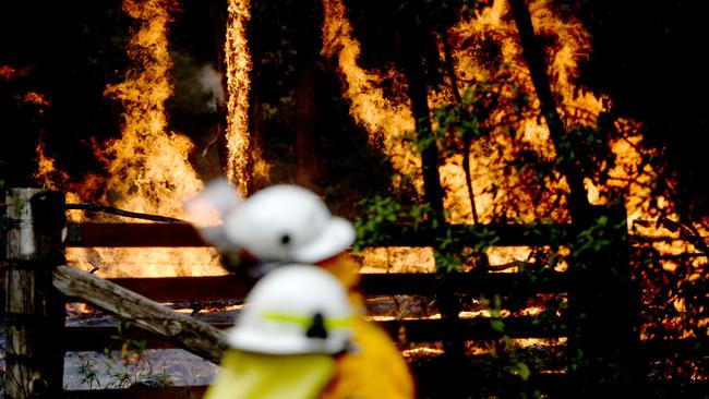 Firefighters backburn along Putty Road in Colo Heights in Sydney on Saturday. Picture: AAP