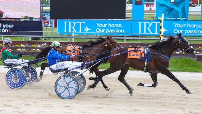 Ocar Bonavena is heading to the the Group 1 Great Southern Star at Melton. Picture: HRNZ