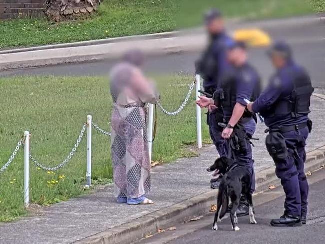 Police dog foils alleged contraband plot