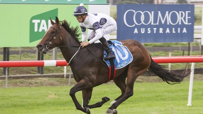 Magnucat is looking to maintain her perfect record when she heads to Scone. Picture: Bradley Photos