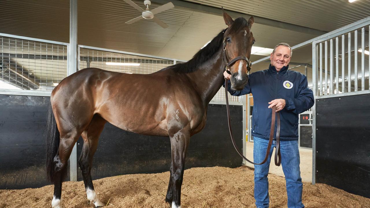 Horse trainer Grahame Begg with his Melbourne Cup horse Lunar Flare, at Cranbourne Training Complex. Picture: Valeriu Campan