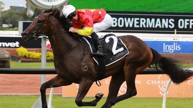 Stakes winner Cosmic Force (pictured) is sire of Turf Fever. Picture: Grant Guy