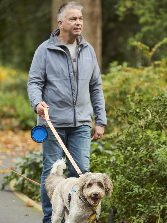 Million Paws Walk at Adelaide Botanic Gardens. Picture: Matt Loxton