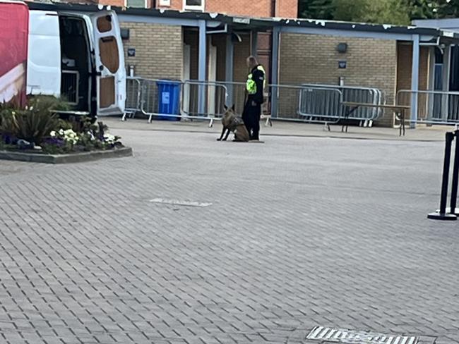 Sniffer dogs at Headingley ahead of the third Ashes test. Picture: Danielle Gusmaroli