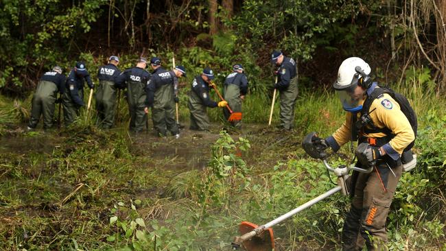 Police searching for William Tyrrell in bushland at Batar Creek, 4km from where he disappeared. Picture: Peter Lorimer