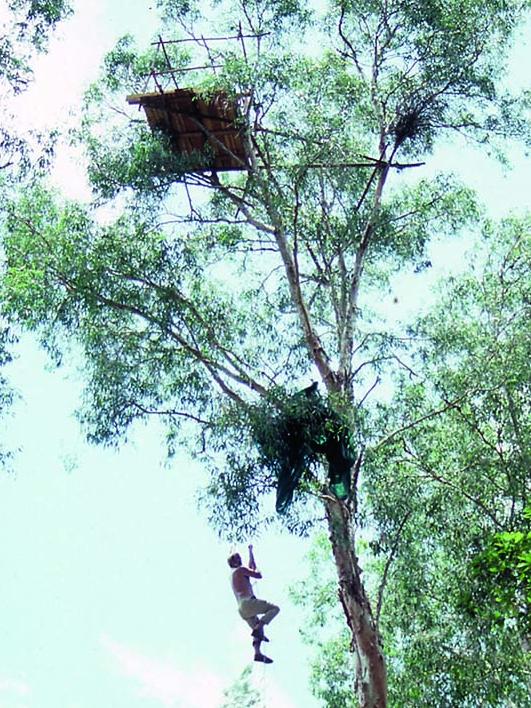 Frazier building a tree hide in 1988. Picture: courtesy Jim Frazier