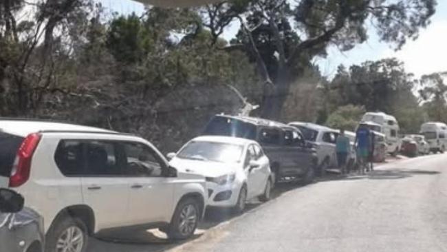 Cars parked along nature park on January 3 showing peak season