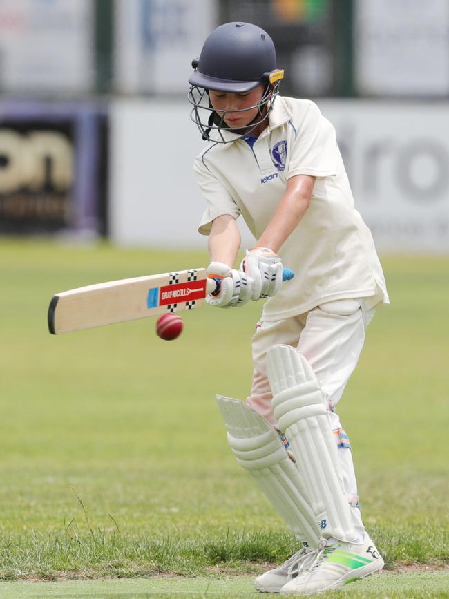 Cricket Junior Country Week match between GCA5 versus Colac3 Picture: Mark Wilson