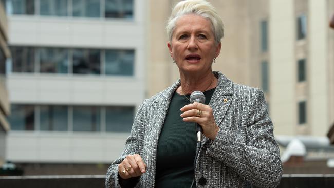 Dr Kerryn Phelps and her supporters in Wentworth don’t welcome too many refugees into their inner-city enclave. Picture: Monique Harmer.