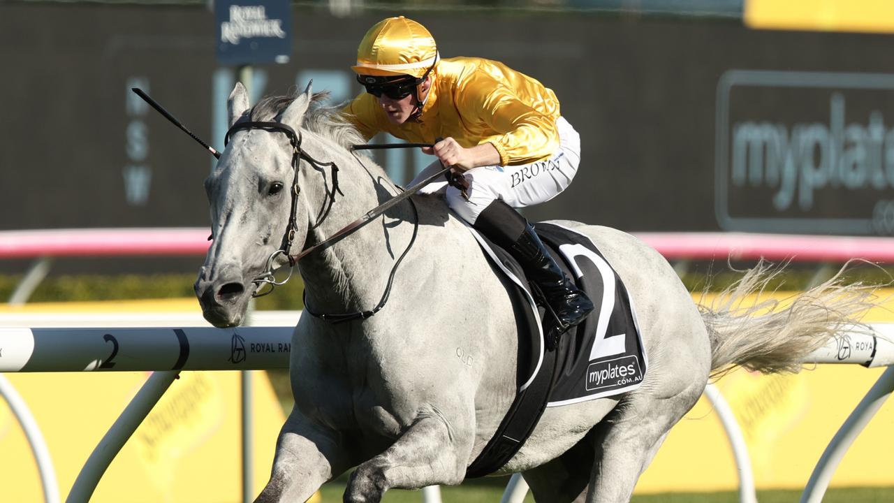 ‘Grey horse syndrome’: Bois ignored in Doomben Cup defence