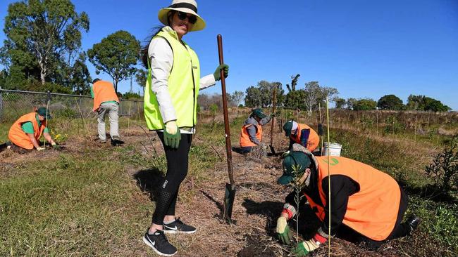 Greenfleet&#39;s Shreya Hedge and volunteer Margaret Hetherington. Picture: Mike Knott BUN040619BAR3