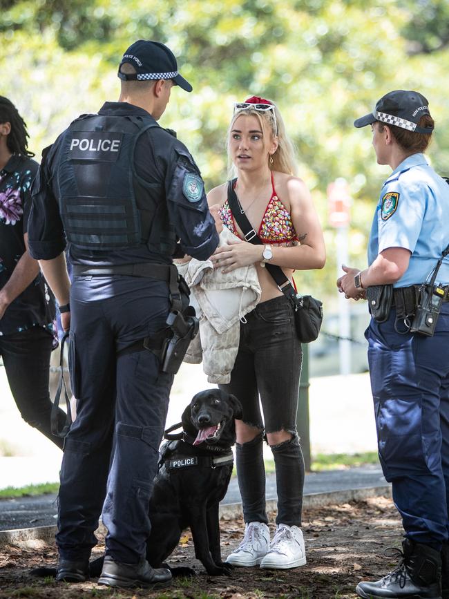 There was also a large number of sniffer dogs at the event. Picture: Julian Andrews.