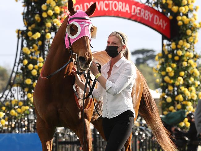 Suspended jockey Jamie Kah strapping partner Claytons Douglas’s horse Bless Her in the last race at Flemington on Saturday. Picture: Michael Klein.