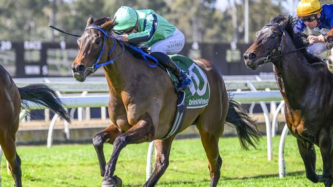 Shohisha is a very promising filly and can land another win at Rosehill. Picture: Bradley Photos