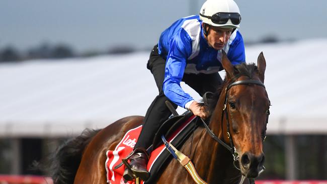 Hugh Bowman riding Winx ahead of the Cox Plate