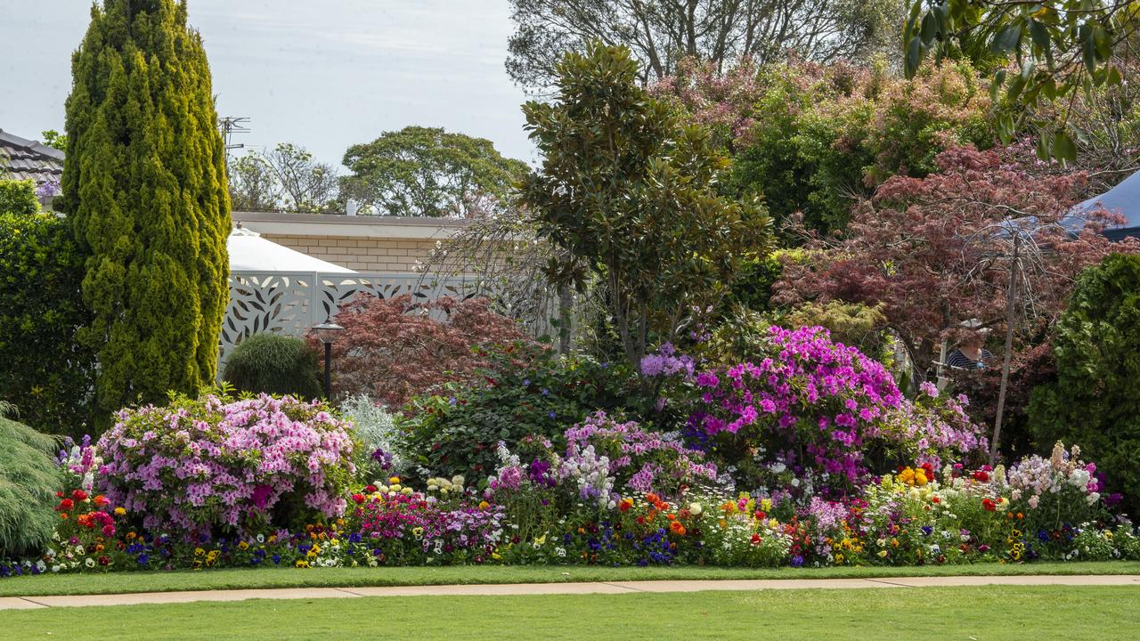 The garden of Bob and Val Ford, 19 Burke St Toowoomba. 2020 Garden for Good. Wednesday. 23rd Sep 2020