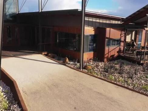 Inside the new $20m Flinders Chase visitor's centre