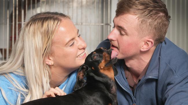 Valerie gives Georgia and Josh a licky welcome. Picture: Dean Martin