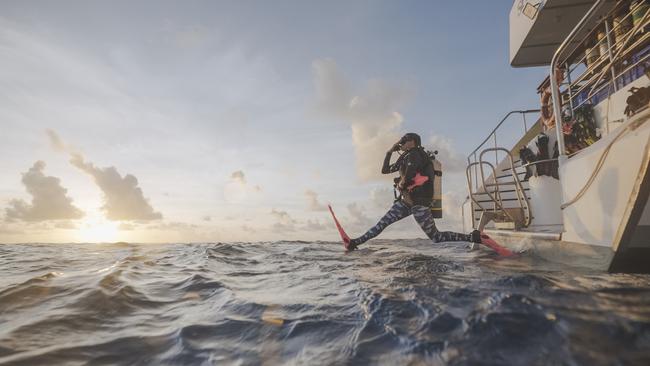 A Far North tourism operator is reporting an early spike in the number of US tourists booking trips to visit the Great Barrier Reef. Pictured, a diver jumps into the Coral Sea, while on a Spirit of Freedom liveaboard cruise. Image: Supplied.