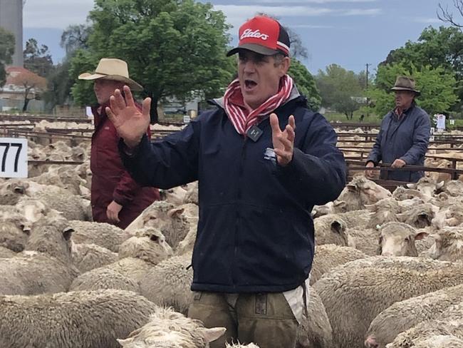 Jason Andrews, livestock manager  from Elders Deniliquin takes bids in the wet at the Jerilderie sheep sale.