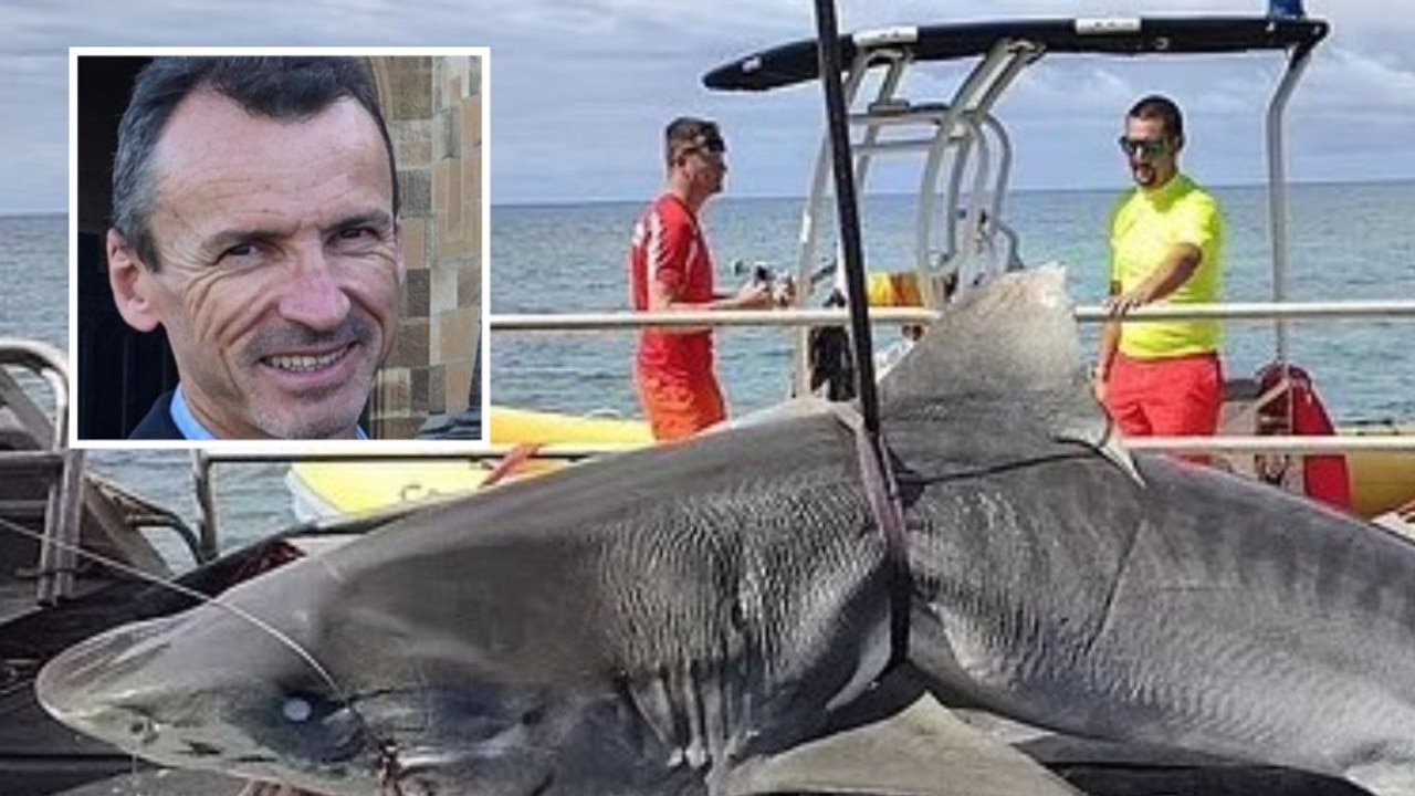 Australian Chris Davis named as New Caledonia shark attack victim