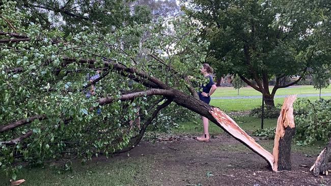 The Wodonga region was among the hardest hit by the storm.