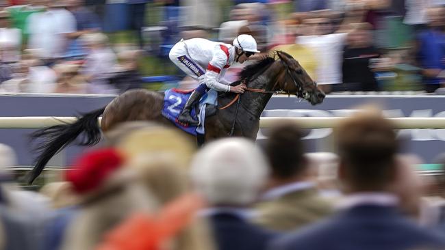 Deauville Legend was elevated to outright Melbourne Cup favourite after his emphatic win in the Great Voltigeur Stakes at York last week. Picture: Alan Crowhurst-Getty Images