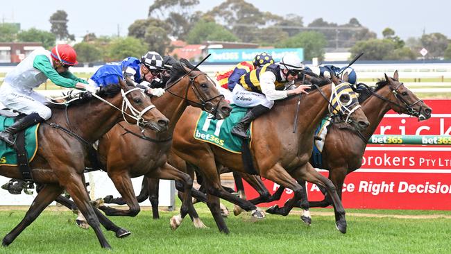 Amade (IRE) ridden by Zac Spain wins the Geelong Cup at Geelong Racecourse on October 25, 2023 in Geelong, Australia. Picture: Reg Ryan/Racing Photos via Getty Images