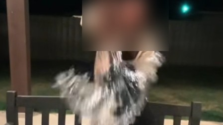 Another video shows a person smiling as they dump water on their dog. Picture: TikTok