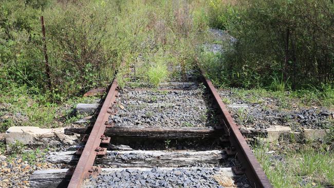 Tweed Shire Councillors have awarded the tender for the Tweed Valley Rail Trail to an organisation which plans to rip up the tracks.