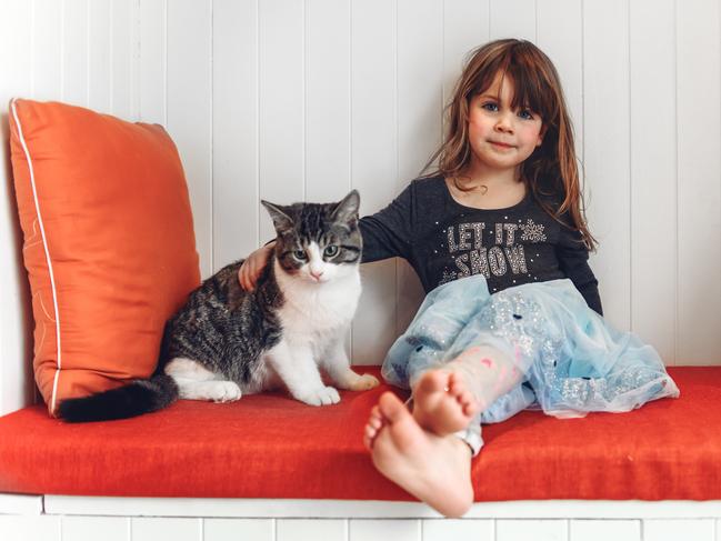 With the right personality, cats can be great for kids.