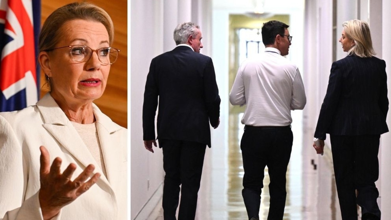 Coalition’s phoney war a mindless act of self-harm