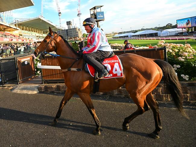 Brent Thomson was back riding at Moonee Valley Racecourse this week. Picture: Getty Images