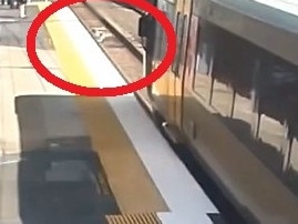 Dog's lucky escape with Brisbane train.