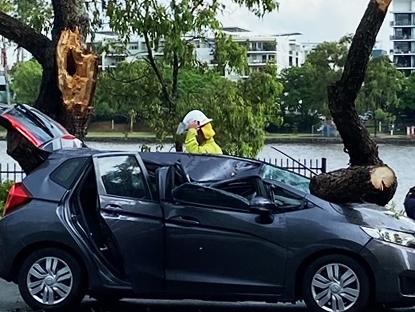 Tree smashes car on Coronation Drive as storm hits city