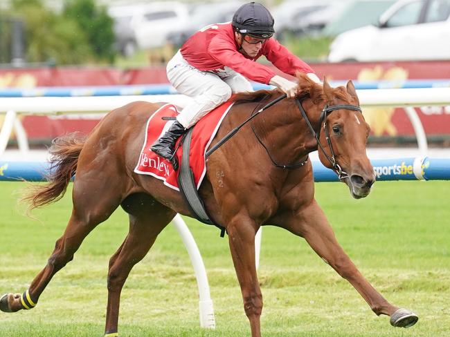 Palm Angel ridden by Ethan Brown wins the Henley Homes Merson Cooper Stakes at Caulfield Racecourse on November 30, 2024 in Caulfield, Australia. (Photo by Scott Barbour/Racing Photos via Getty Images)