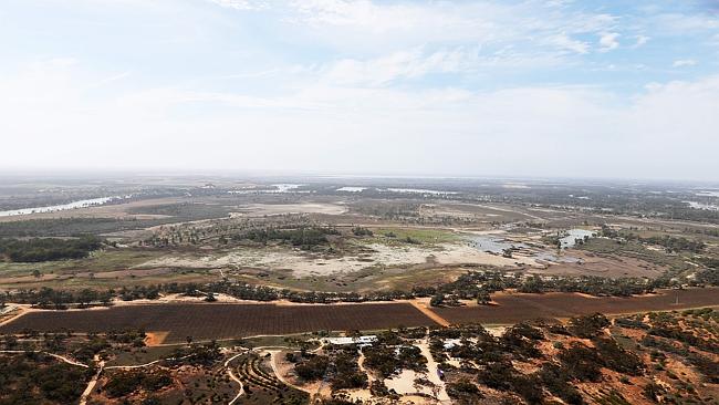 Banrock Station wetlands the day after the Murray River floodgates were opened. Picture: Simon Cross