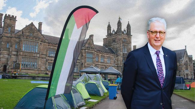 Mark Scott, the vice-chancellor of Sydney University, has decided that Professor Sujatha Fernandes, who told her students that reports of Hamas committing mass rapes on October 7 were “fake news”, will escape with the slightest rap of the world’s lightest feather-duster.