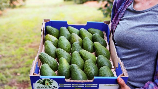 Avocados are high in unsaturated fat.