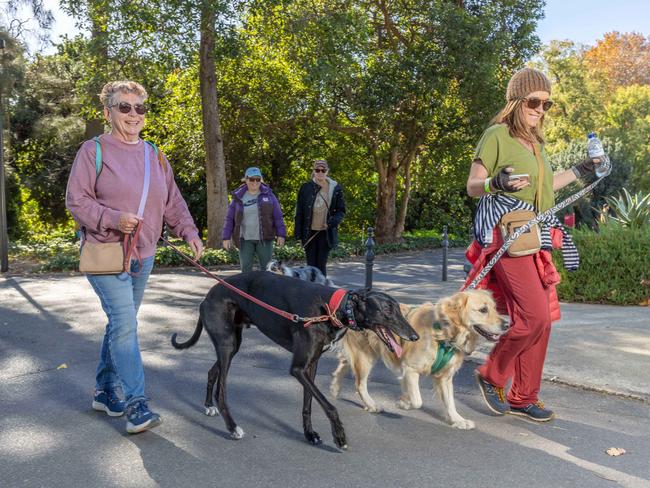RSPCA SA's Million Paws Walk in Adelaide on May 25, 2025. Picture: Ben Clark