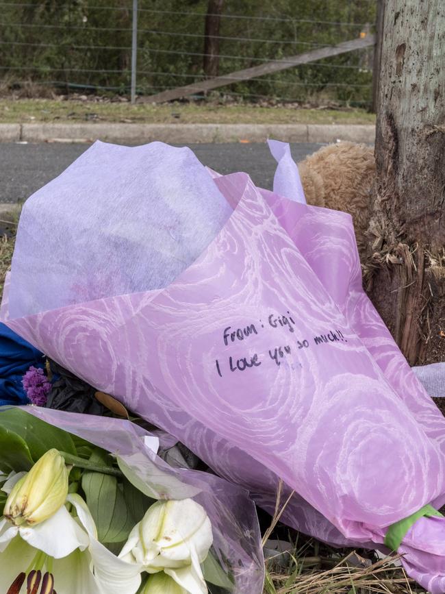 Friends called the two dead boys “good people”. Picture: Monique Harmer