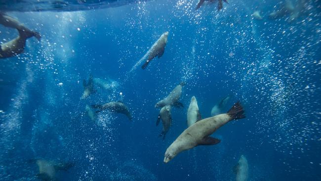 Gold Coast photographer Sean Scott has travelled the globe to capture wildlife, sunsets and sunrises and some of the most picturesque locations.