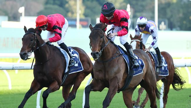 Glory Daze (outside) scored an upset win at Randwick. Picture: Getty Images