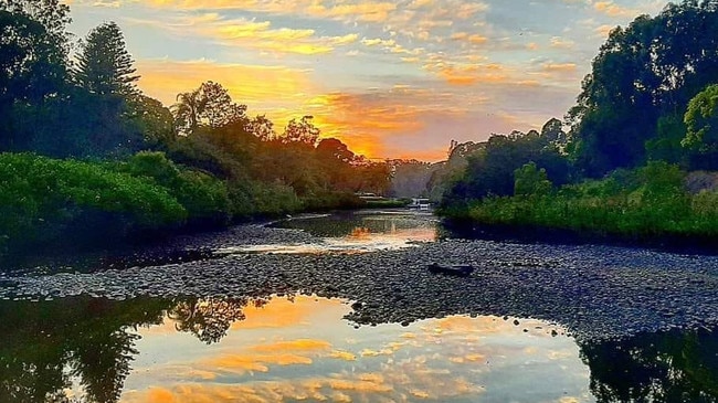 Alexander Scully: The Nerang River.