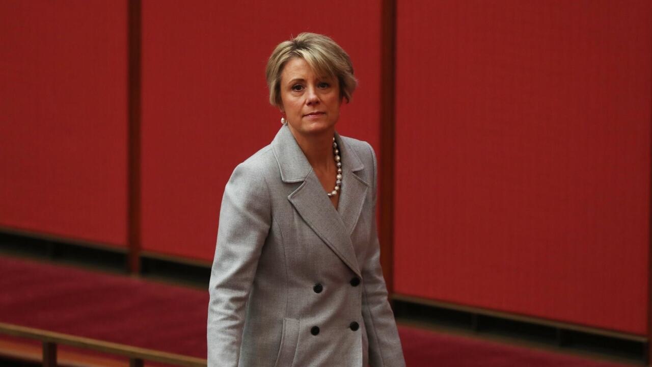 Keneally stands out ‘like a sore thumb’ in Fowler: Dai Le