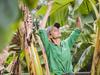 Global confectionary giant behind Cocoa project with big aims in Cairns