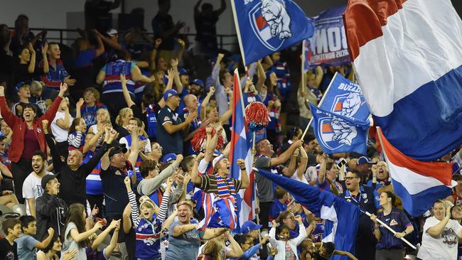 Bulldogs fans at Marvel Stadium. Picture: Lawrence Pinder