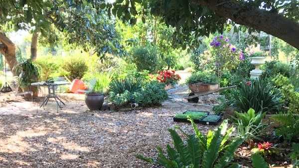 A restful place in Julie Roggeveen&#39;s garden.