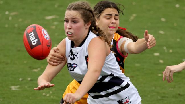 Molly McErlain in action for the Northern Knights. Picture: Stuart Milligan