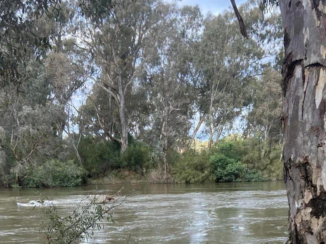 The location along the Goulburn River where the body of 18-year-old Jodus Murphy was discovered on June 14, 2023. Picture: Supplied